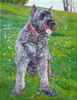 14.	Bubba in Springtime, oil on canvas, 14” x 11”,  2009