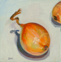 25.	Yellow Onion (from life), oil on masonite, 5” x 5”, © 2007